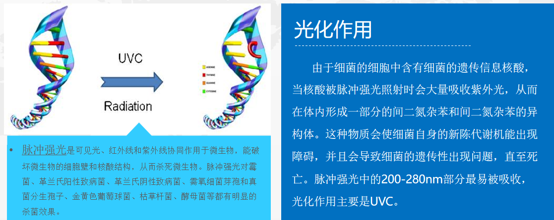 小功率脉冲强光氙灯