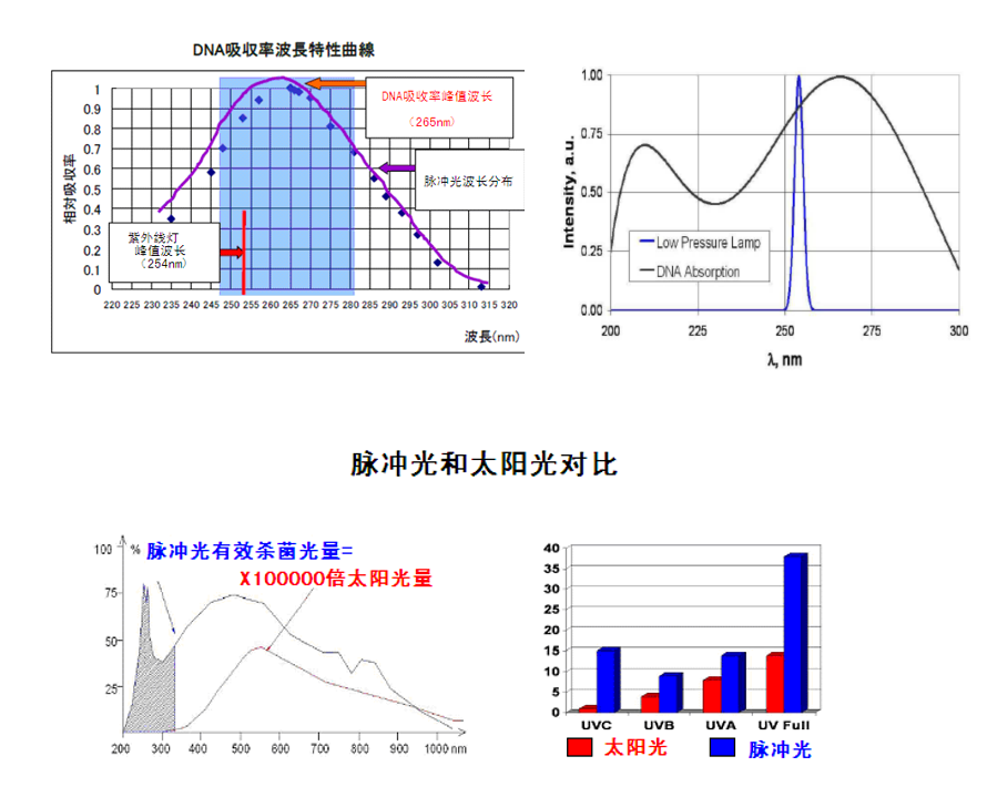 Wide-spectrum strong pulse light sterilization and disinfection instrument